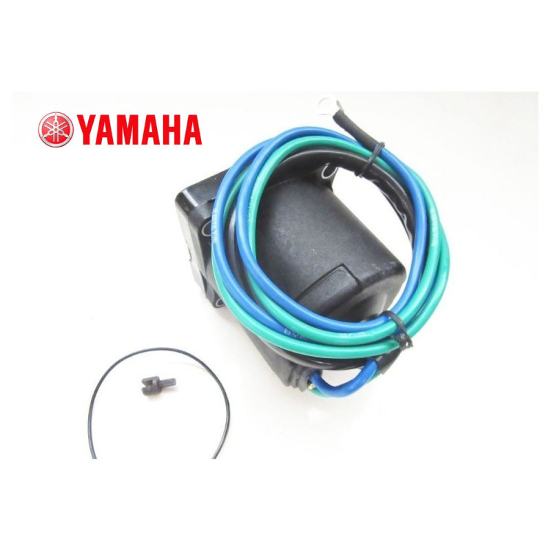 Μοτέρ Τριμ-Παουερ Τριμ Yamaha 64E-43880-02-00